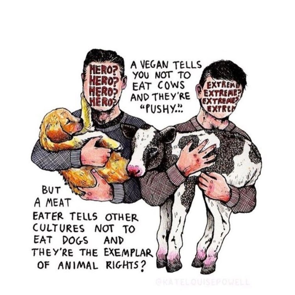 If we can live well without harming other living beings, why wouldn't we? - Picture 3 of 15